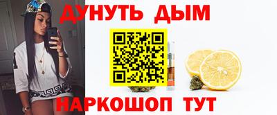 крисы Камышлов