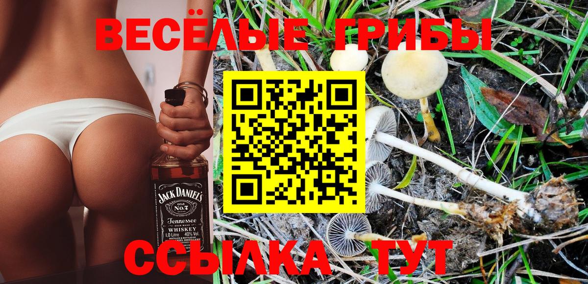 Крымск  Псилоцибиновые грибы MAGIC MUSHROOMS  Вход с VPN 